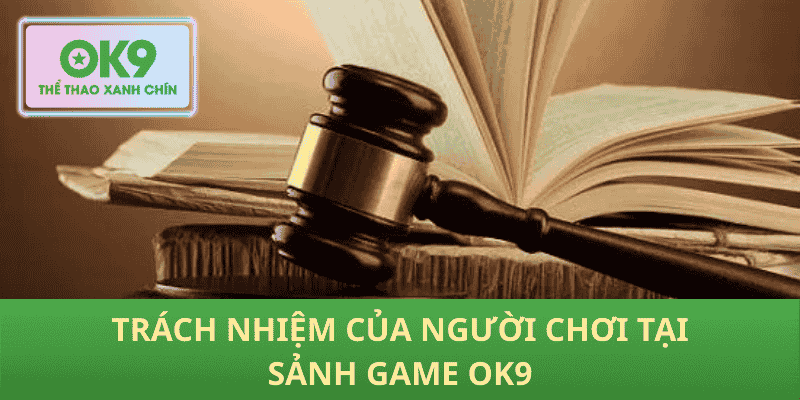 Trách nhiệm của người chơi tại sảnh game OK9